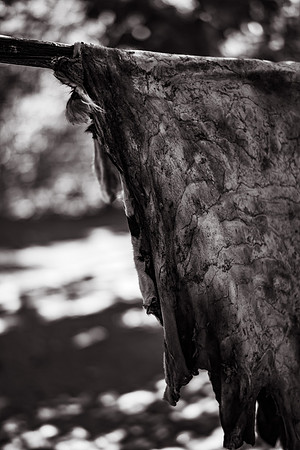 250507_Don_Cata_Rancho_El_Refugio_Shoot_009