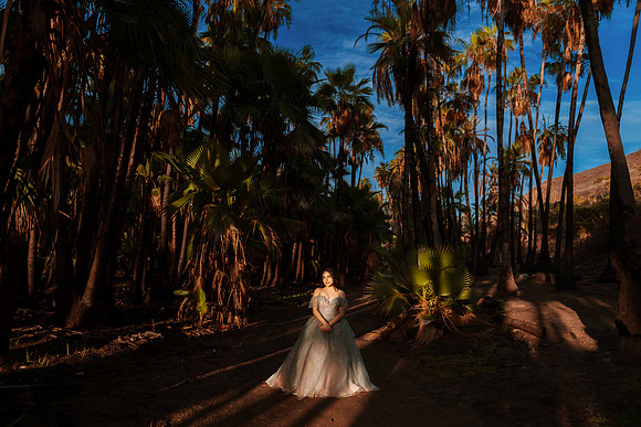 XV Andrea