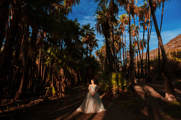 XV Andrea
