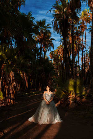 XV Andrea