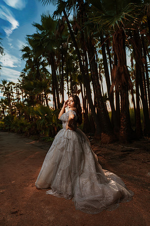 XV Andrea
