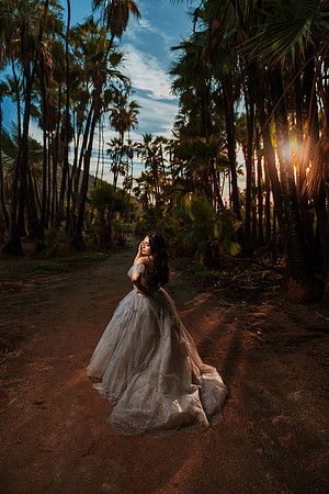 XV Andrea