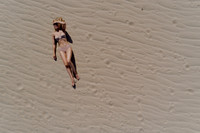 DJI_0003-Edit