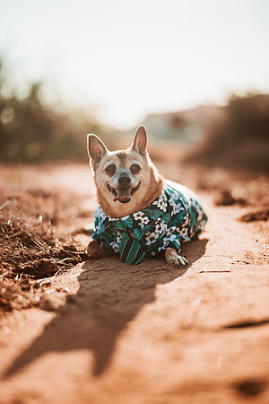 260826_Rosa_Y_Pere_Pozo_Cota_Photoshoot_031