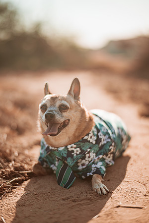 260826_Rosa_Y_Pere_Pozo_Cota_Photoshoot_033