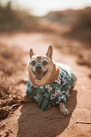260826_Rosa_Y_Pere_Pozo_Cota_Photoshoot_032