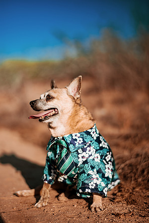 260826_Rosa_Y_Pere_Pozo_Cota_Photoshoot_034