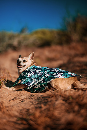 260826_Rosa_Y_Pere_Pozo_Cota_Photoshoot_035