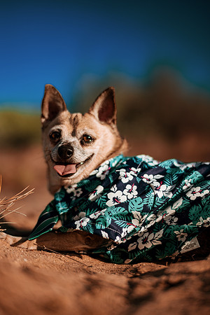 260826_Rosa_Y_Pere_Pozo_Cota_Photoshoot_036