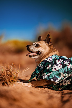 260826_Rosa_Y_Pere_Pozo_Cota_Photoshoot_037