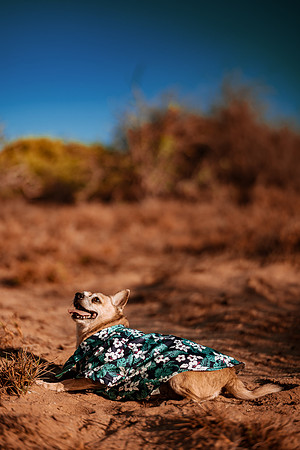 260826_Rosa_Y_Pere_Pozo_Cota_Photoshoot_038
