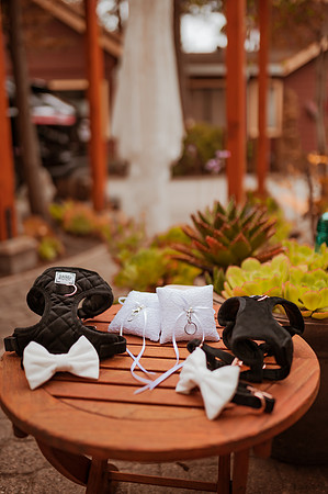 230429_Alexandra_and_Gordon_Wedding_021