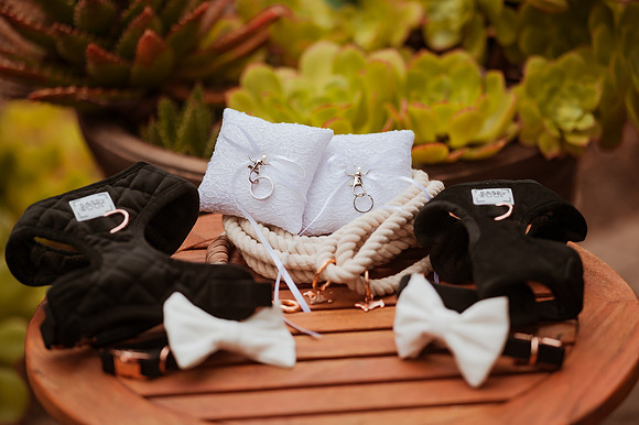 230429_Alexandra_and_Gordon_Wedding_032