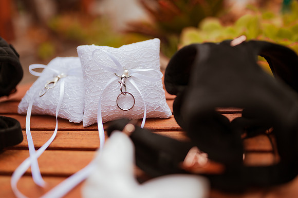 230429_Alexandra_and_Gordon_Wedding_023