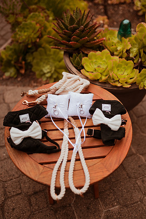 230429_Alexandra_and_Gordon_Wedding_024
