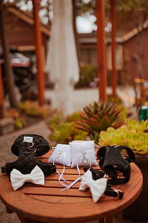 230429_Alexandra_and_Gordon_Wedding_020