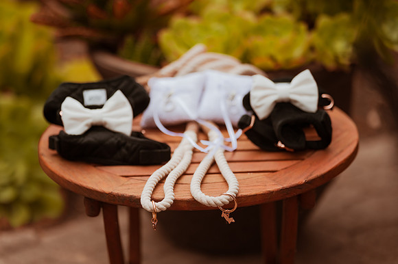 230429_Alexandra_and_Gordon_Wedding_028