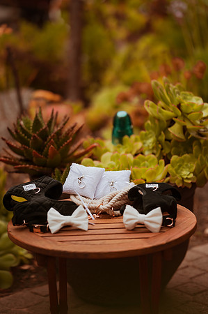 230429_Alexandra_and_Gordon_Wedding_033
