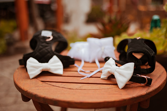 230429_Alexandra_and_Gordon_Wedding_022
