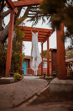 230429_Alexandra_and_Gordon_Wedding_009