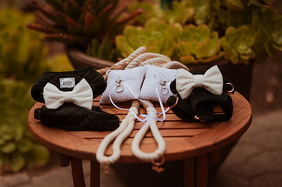 230429_Alexandra_and_Gordon_Wedding_027