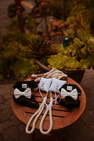 230429_Alexandra_and_Gordon_Wedding_026