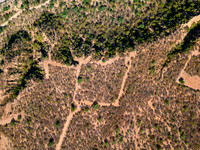 241217_Terreno_caduano_005