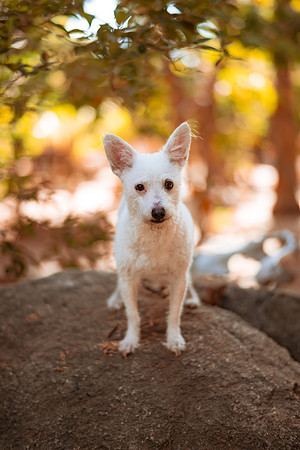 250507_Don_Cata_Rancho_El_Refugio_Shoot_007