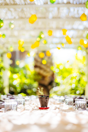 241201_Victorias_Baptism_Acre_147