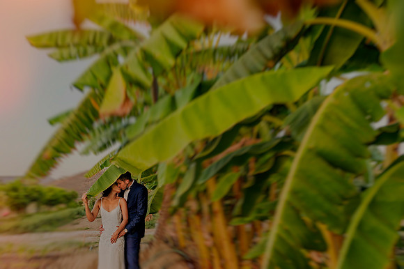 ELP_Fernanda_y_Enrique_los_cabos_wedding_369