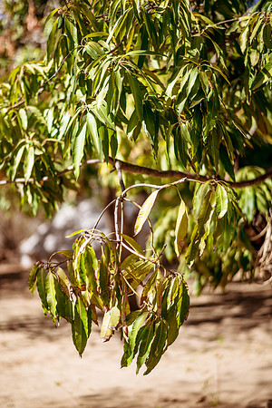 250507_Don_Cata_Rancho_El_Refugio_Shoot_014