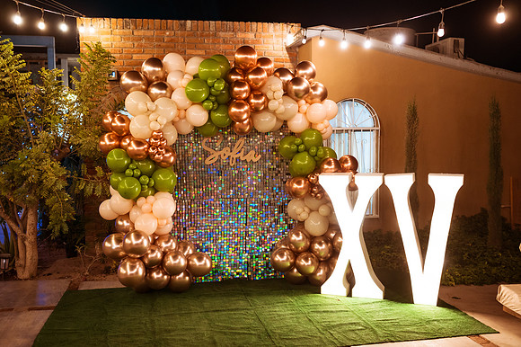 241221_Sofia_Elizabeth_XV_Evento_413