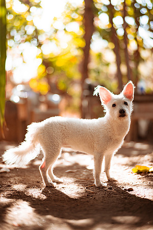 250507_Don_Cata_Rancho_El_Refugio_Shoot_018