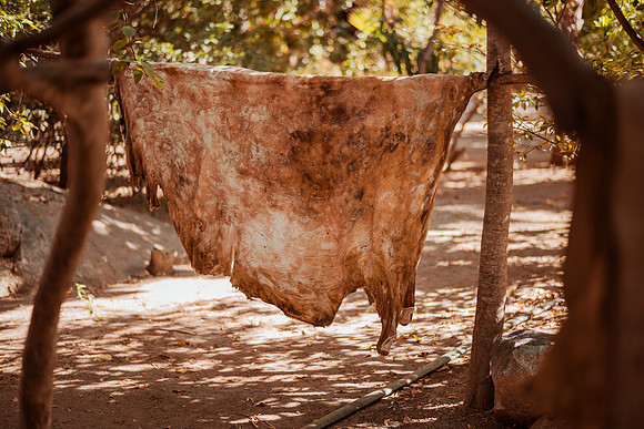 250507_Don_Cata_Rancho_El_Refugio_Shoot_004