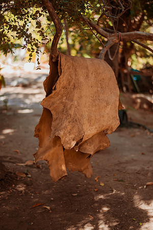 250507_Don_Cata_Rancho_El_Refugio_Shoot_001