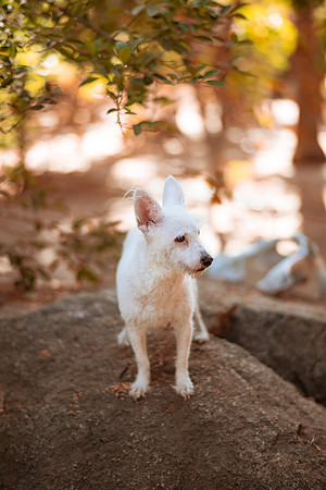 250507_Don_Cata_Rancho_El_Refugio_Shoot_006