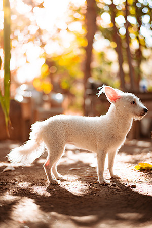 250507_Don_Cata_Rancho_El_Refugio_Shoot_019